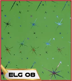 ELG 08